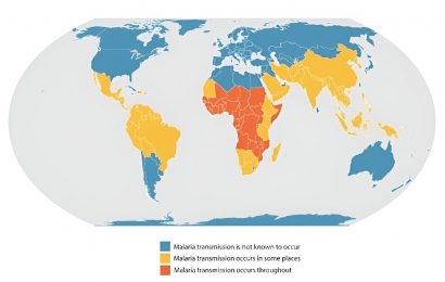 The history of malaria in the United States