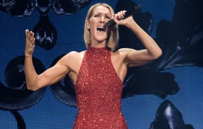 Celine Dion does NOT need a wheelchair despite disabling condition