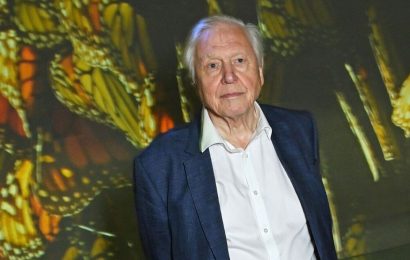 Sir David Attenborough on his natural memory loss