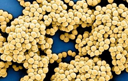 Antimicrobial resistance now hits lower-income countries the hardest, but superbugs are a global threat
