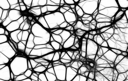 Research examines how protein aggregates can trigger neurodegenerative diseases