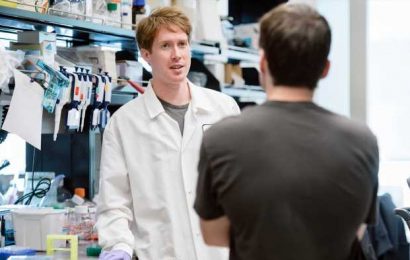 Using next-gen CRISPR tool, scientists create unprecedented molecular map of human immune response